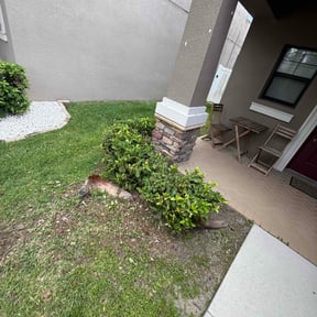 Bush Trimming by Big 3 Lawns and Landscaping reviewed on July 19, 2022