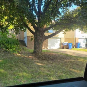 Cleanups by VonBerge Family Lawncare reviewed on November 15, 2024