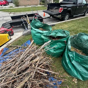Cleanups by Leijas Brothers Landscaping reviewed on June 21, 2022