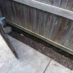 Weeding by FRL Landscaping reviewed on November 12, 2021