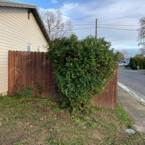 Bush Trimming by YardGoat Mowing reviewed on April 14, 2022