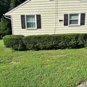 Bush Trimming by Jeri Cleaning Services reviewed on April 30, 2025