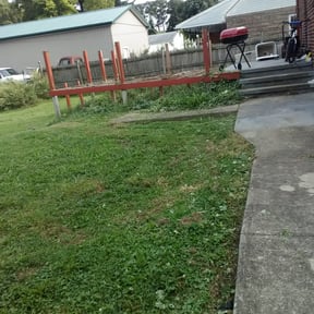 Landscaping by Carbon Dioxide Recyclers reviewed on May 20, 2022
