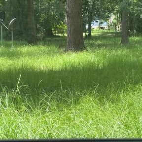 Cleanups by Carlos PRADO reviewed on March 21, 2025