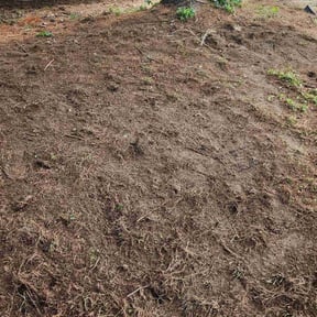 Cleanups by Text 2 Cut Lawn Care LLC reviewed on May 10, 2025