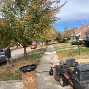Cleanups by Pure Perfection Lawn Care LLC reviewed on June 19, 2025