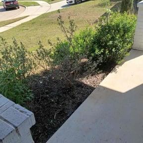Flower Bed Weeding by Silver Creek Engine & Lawn reviewed on June 15, 2022