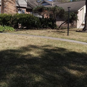 Cleanups by J&A Lawn Care reviewed on August 16, 2024