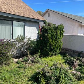 Cleanups by Waters Landscaping reviewed on April 11, 2022
