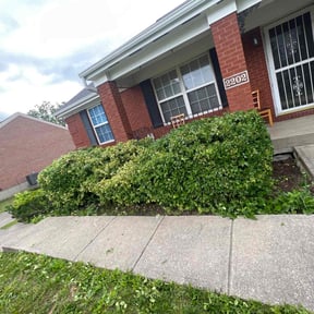 Bush Trimming by Greener lawns reviewed on April 21, 2022