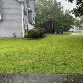 Bush Trimming by BLACK HORSE reviewed on June 7, 2022