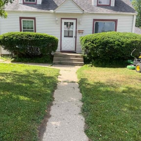 Bush Trimming by Grass Buddy reviewed on June 8, 2022