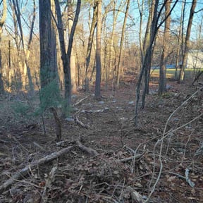 Leaf Removal by Dads Lawn Services reviewed on July 11, 2022
