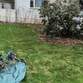 Bush Trimming by ARTHURS LAWN AND LANDSCAPE reviewed on June 18, 2022