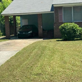 Bush Trimming by Lutz Lawn Care reviewed on April 19, 2022