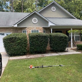 Bush Trimming by Willie's Mobile Lawn Services reviewed on November 21, 2022