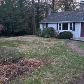 Leaf Removal by Team one lawn service reviewed on May 11, 2022