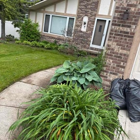 Flower Bed Weeding by Ortiz landscape reviewed on July 23, 2025