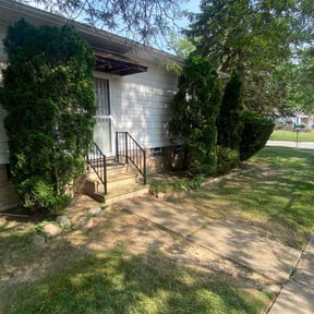 Bush Trimming by A1 Sears Carpet Cleaning/Landscaping reviewed on August 5, 2022
