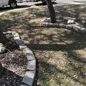 Leaf Removal by Mower with a Mustang reviewed on April 28, 2025