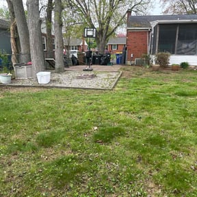 Leaf Removal by Family Lawn Care reviewed on June 1, 2022