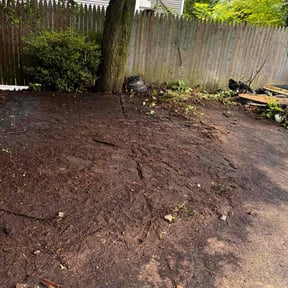Leaf Removal by Felo pride lawn service reviewed on June 29, 2022