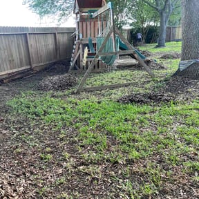 Leaf Removal by Daniel campos reviewed on February 18, 2025