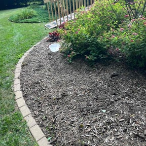Flower Bed Weeding by Residential maintenance reviewed on July 31, 2022