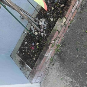 Flower Bed Weeding by Rodriguez Gardening reviewed on April 3, 2025