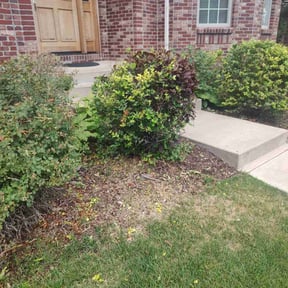 Bush Trimming by Fortanel lanscaping reviewed on June 26, 2022