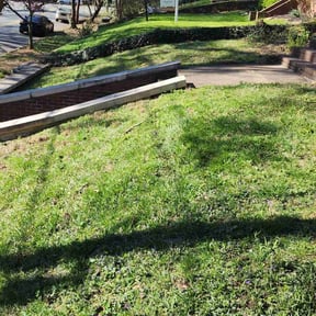 Leaf Removal by Mcqueens lawn care reviewed on July 13, 2022