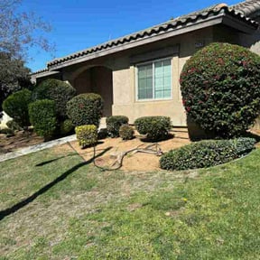 Bush Trimming by Little Flower Home Service reviewed on June 22, 2025