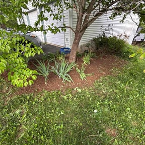 Weeding by C & M Lawn Service reviewed on August 4, 2022