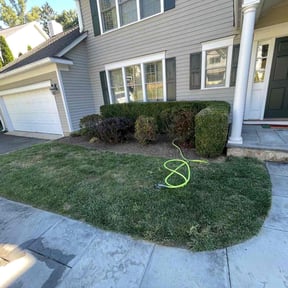 Landscaping by D-Line Lawns and More reviewed on September 24, 2021