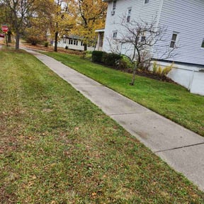 Leaf Removal by Trey Weiler reviewed on May 1, 2022