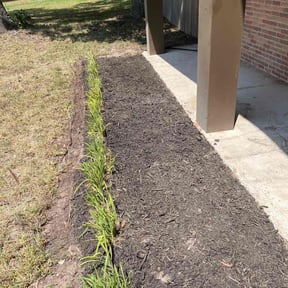 Mulching by Clean cut landscaping & tree service LLC reviewed on June 24, 2022