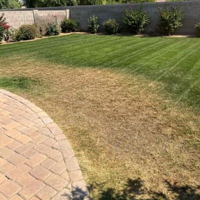 Weeding by Brian The Yard Barber LLC reviewed on May 6, 2022