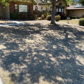 Weeding by Green Craft Gardening reviewed on January 2, 2025