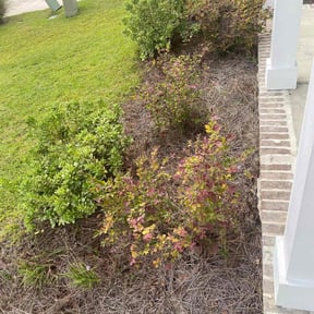 Flower Bed Weeding by Jett Lawn Service reviewed on July 18, 2022