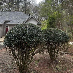Bush Trimming by Maryhaven farm reviewed on May 8, 2022