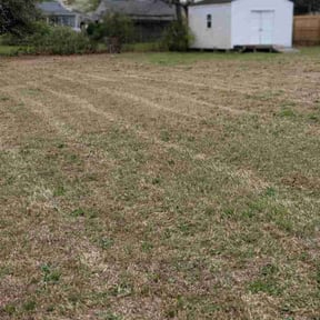 Leaf Removal by Js Lawn Care reviewed on October 19, 2022