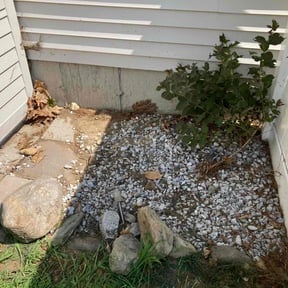 Flower Bed Weeding by Residential maintenance reviewed on December 27, 2021