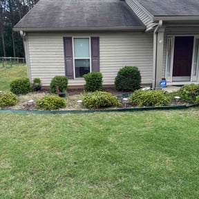 Bush Trimming by My Family Lawn Care reviewed on July 24, 2022