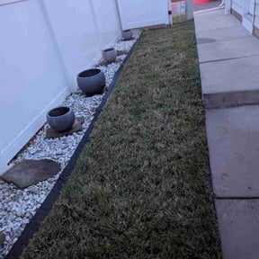 Cleanups by Lawn Impression reviewed on July 12, 2022