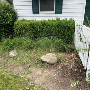 Cleanups by Can’t Stop Won’t Stop Lawn Care reviewed on July 6, 2025