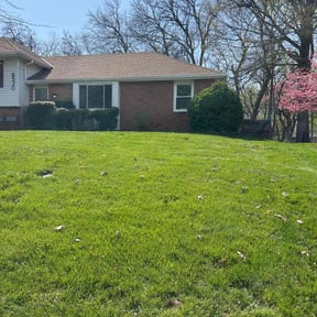 Leaf Removal by Wolverine Lawncare reviewed on July 10, 2022