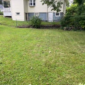 Bush Trimming by Jz landscape construction llc reviewed on July 11, 2022