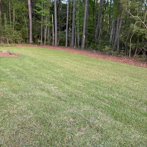 Leaf Removal by Iroc's Lawn Care reviewed on July 28, 2022