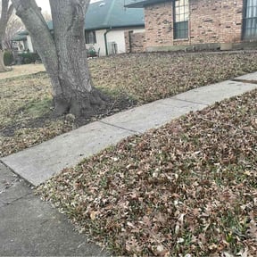 Leaf Removal by Showers Grow & Mow reviewed on August 7, 2020