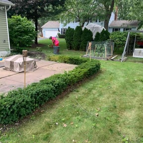 Bush Trimming by Liberty’s Stripes - Yard Professionals reviewed on September 2, 2024